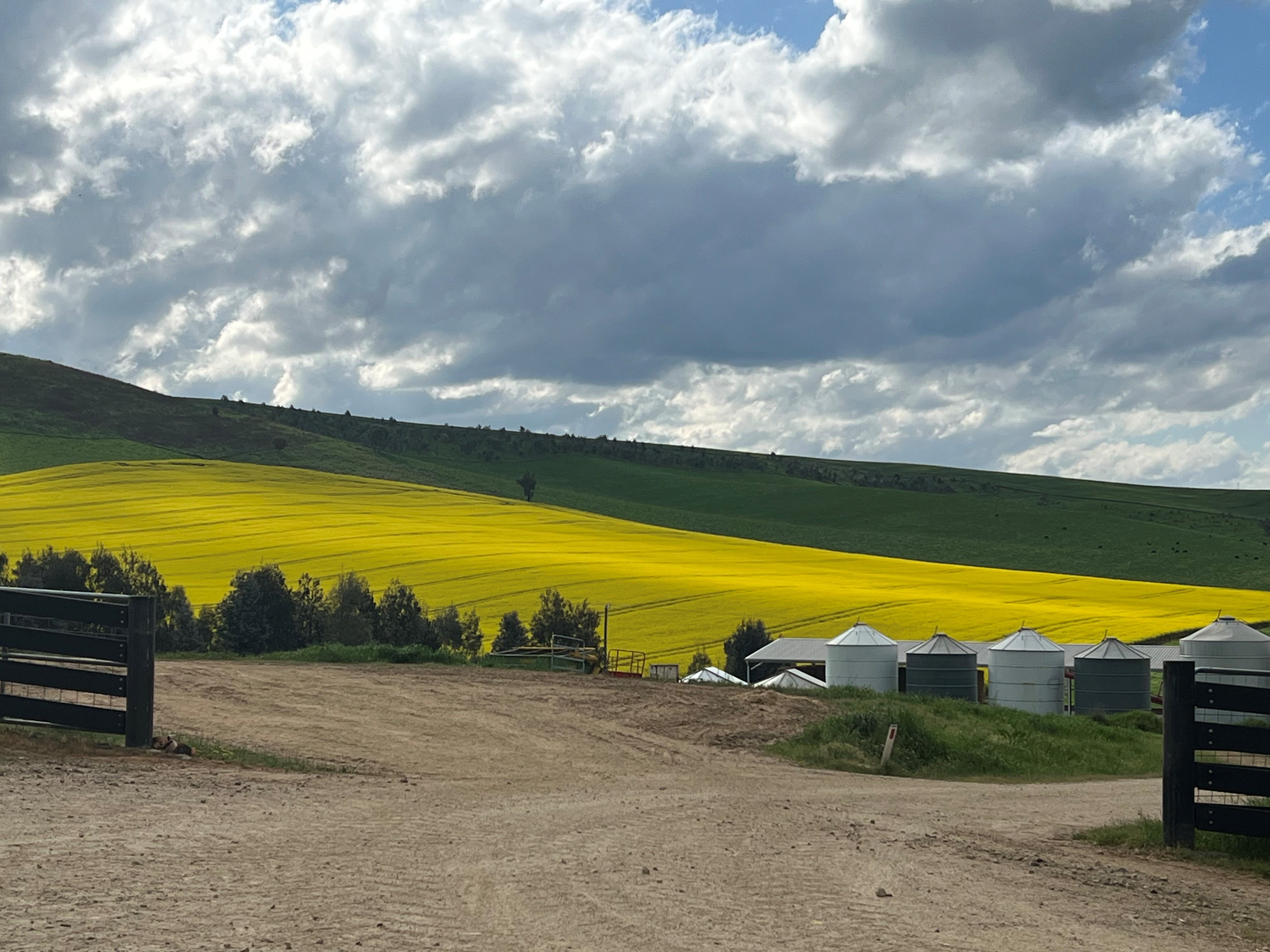 $10 MILLION TO SUPPORT CONNECTIVITY AND PRODUCTIVITY ON FARMS Main Image
