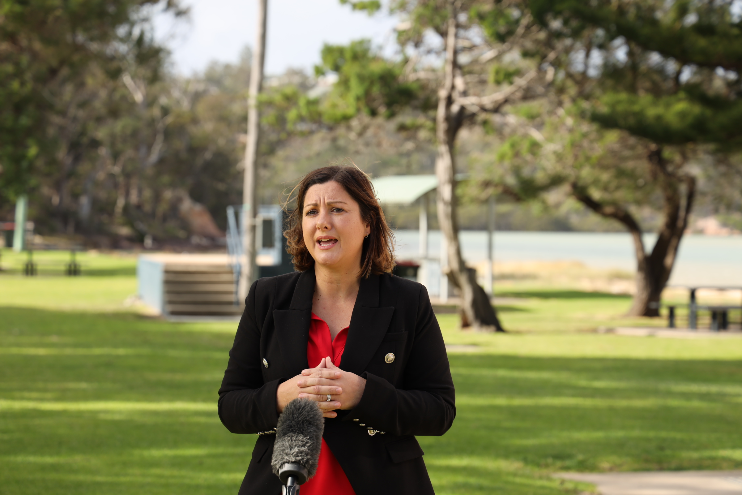 ABC South East - Electric vehicles and bushfire mitigation Main Image