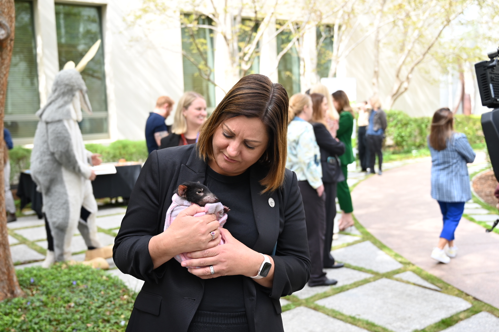 EDEN-MONARO IS GETTING A CRITICAL FUNDING BOOST TO PROTECT FLORA AND FAUNA Main Image