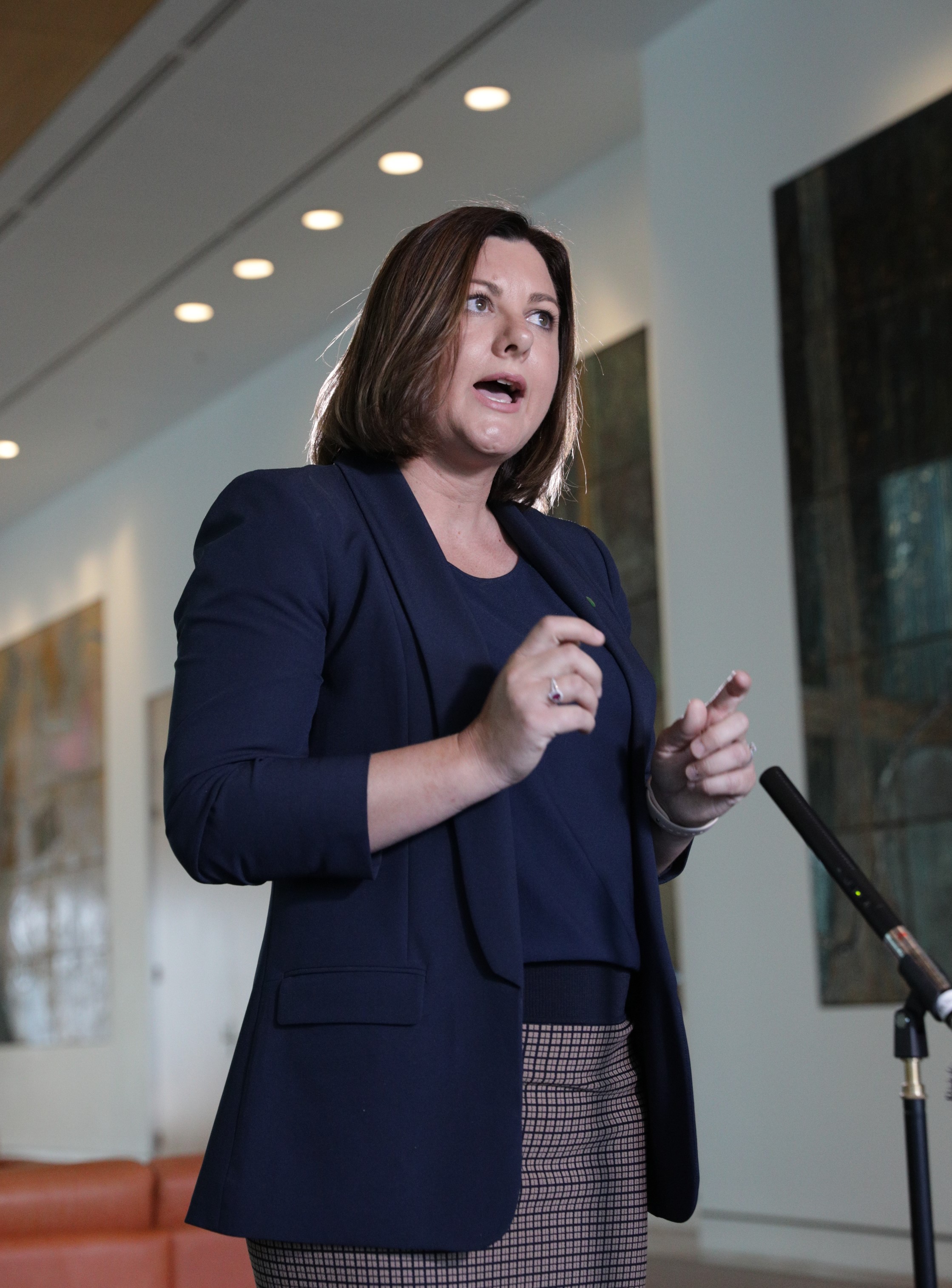 Regional communities deserve reliable telecommunications Main Image