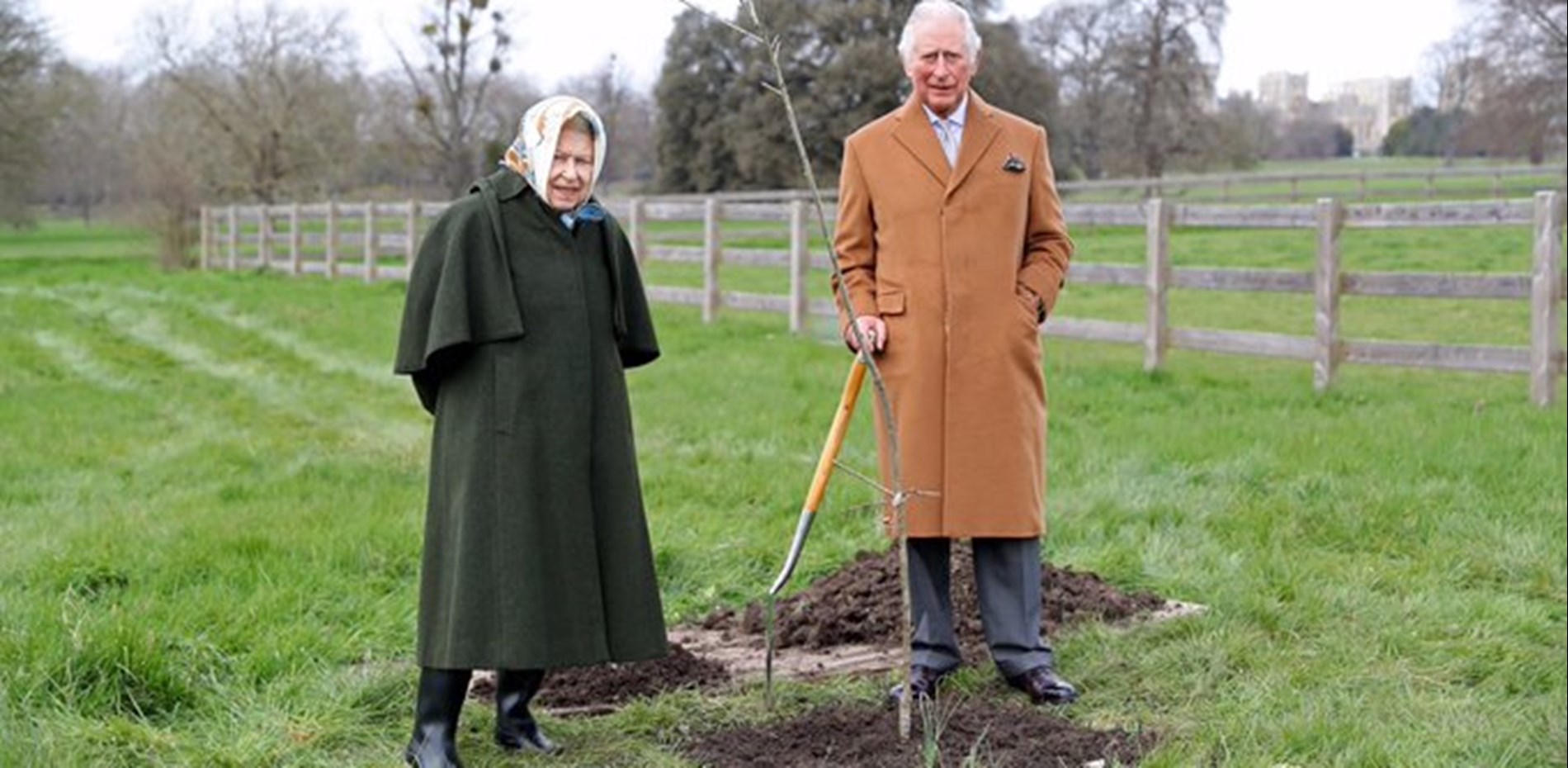 Planting Trees for The Queen's Jubilee Main Image