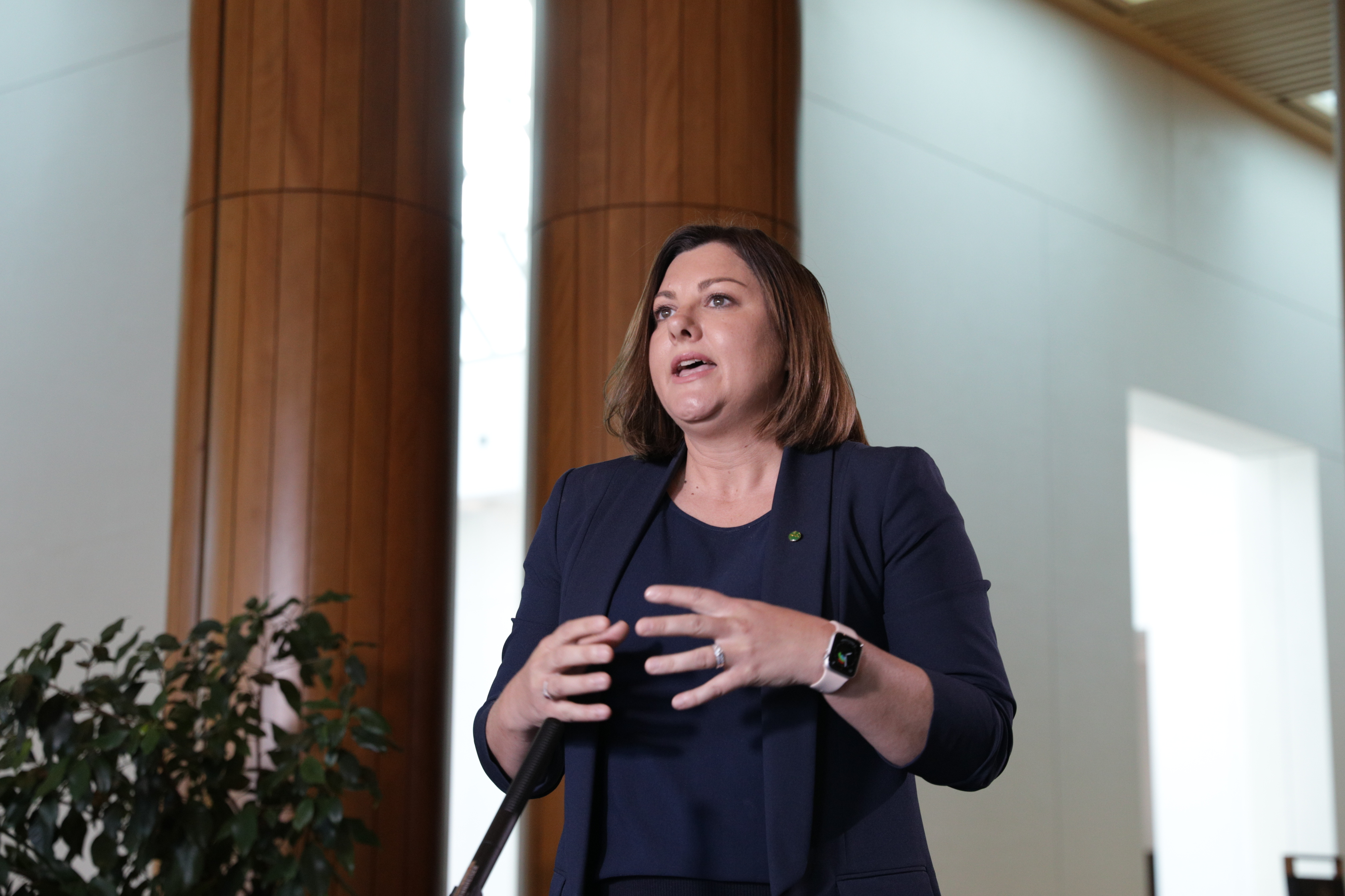 Parliament House doorstop - Bushfire funding Main Image