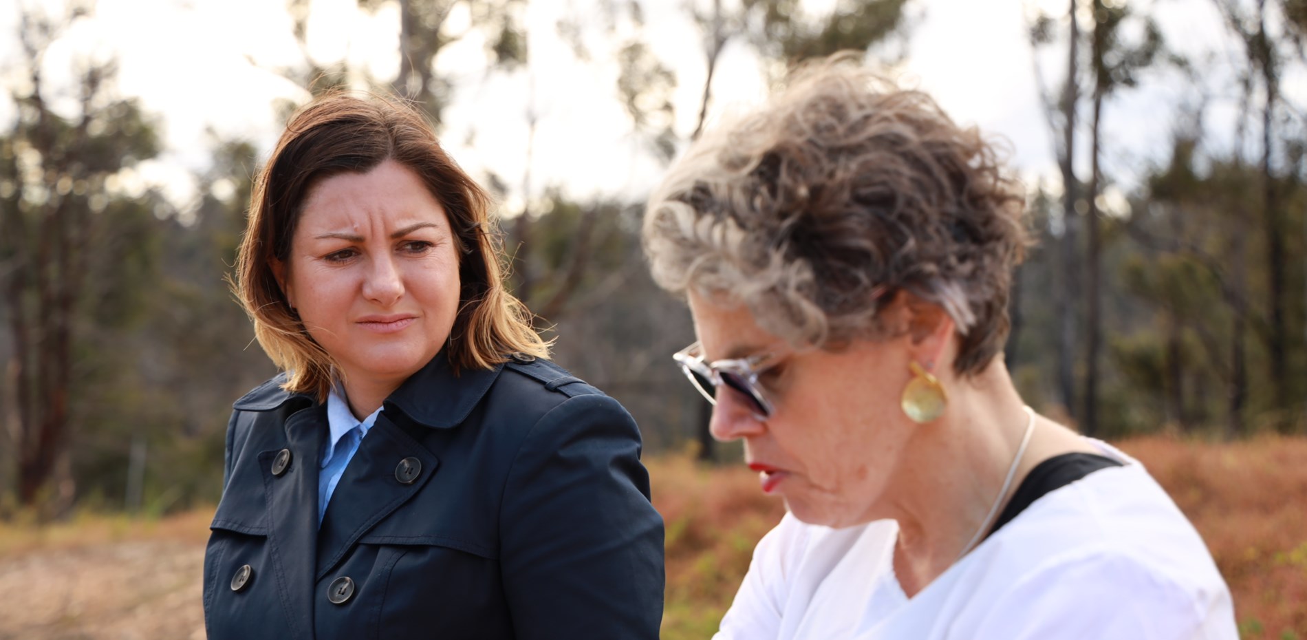 2019-20 Bushfire Senate Inquiry Main Image