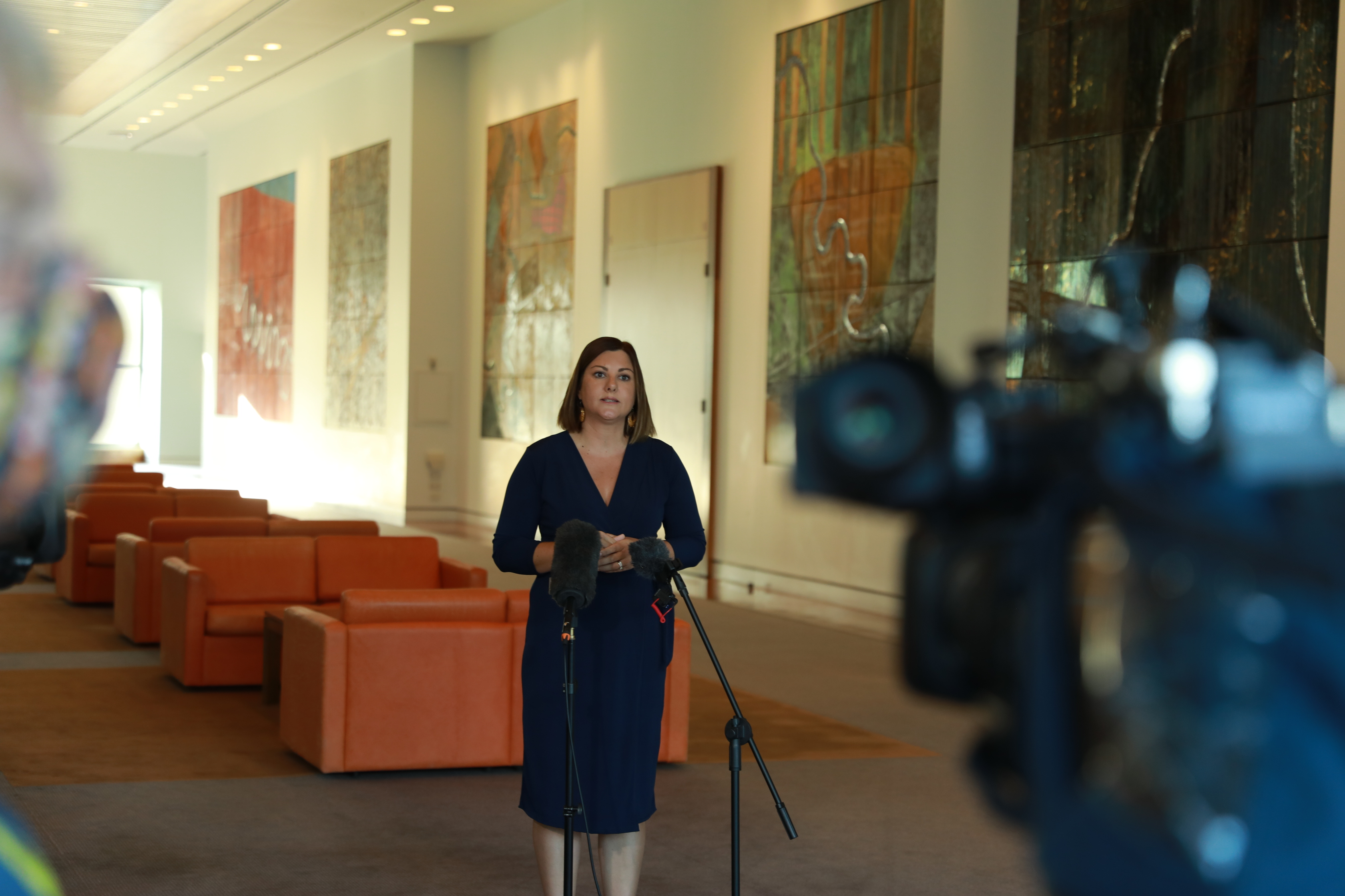 DOORSTOP INTERVIEW - PARLIAMENT HOUSE - Black Summer Bushfires and disaster funding Main Image