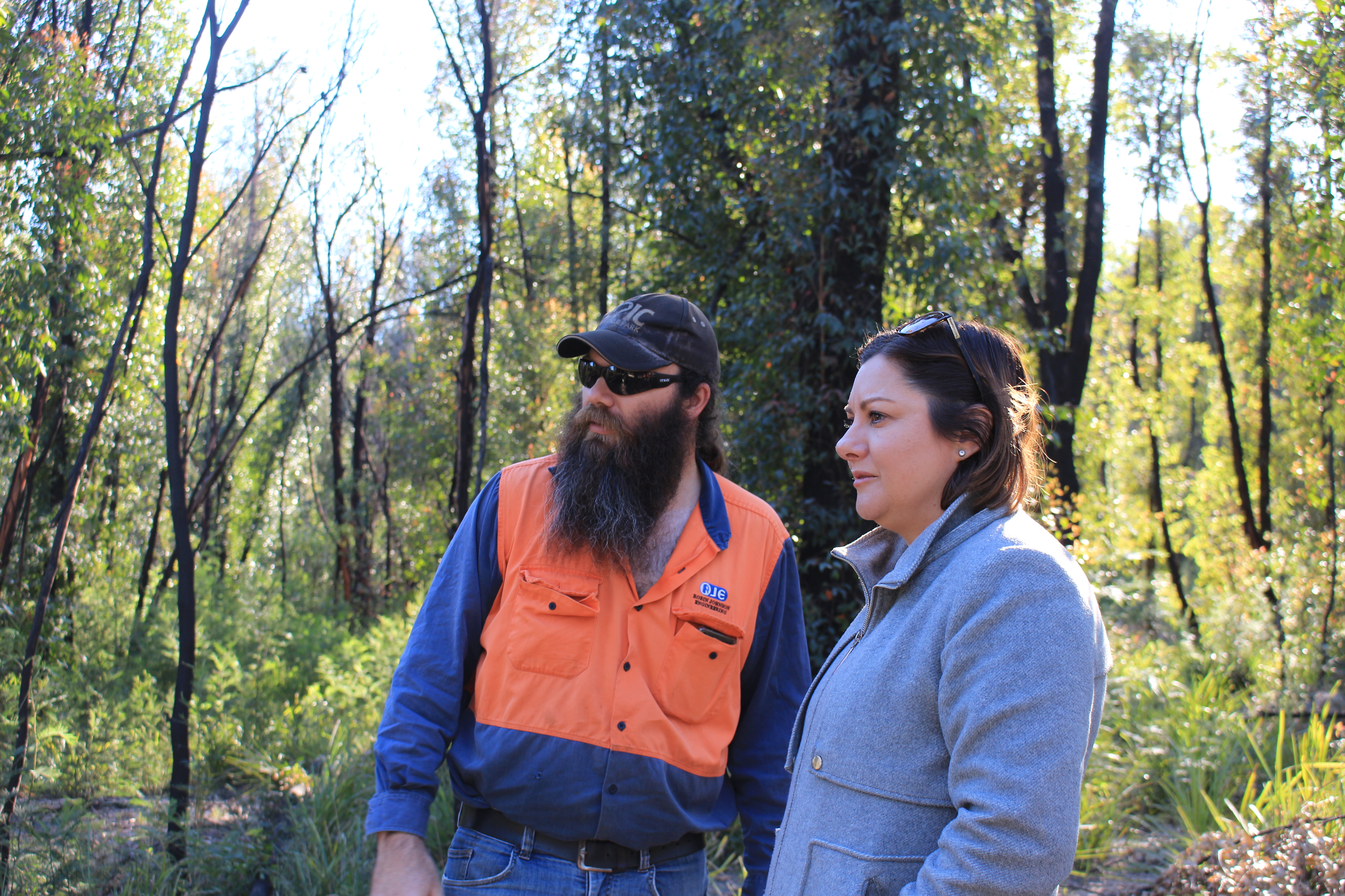 Disaster deja vu  Main Image