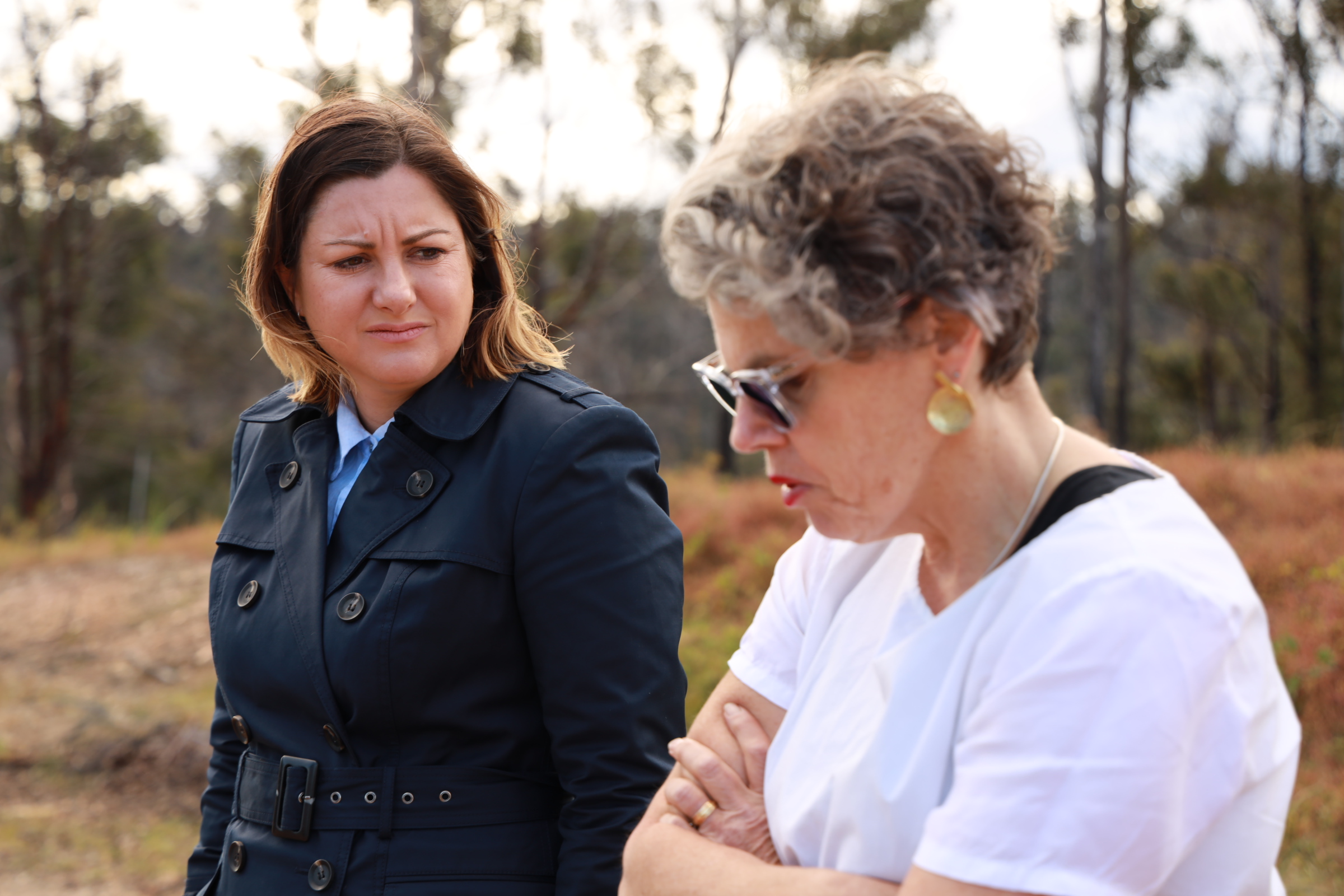 Labor calls on government again to extend HomeBuilder to help bushfire survivors Main Image